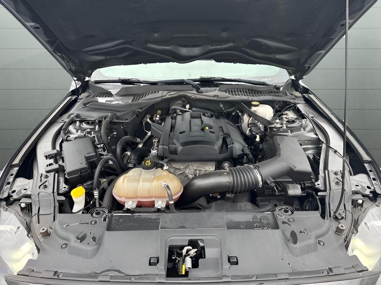 2019 Ford Mustang EcoBoost