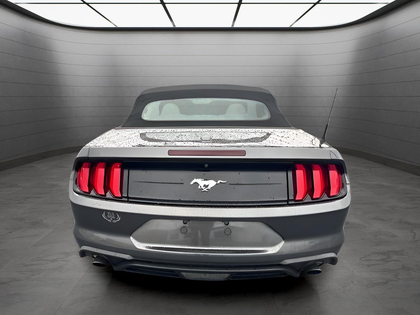 2019 Ford Mustang EcoBoost